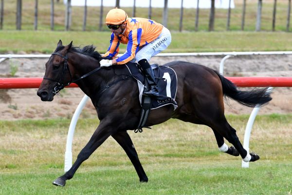 Cool Aza Beel secures Million berth