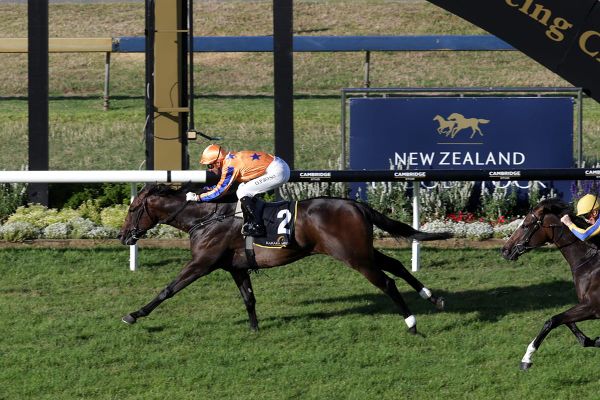 Cool Aza Beel completes Te Akau’s Karaka Million quartet