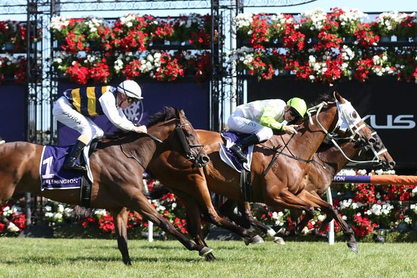 El Don takes out Listed Bagot Handicap
