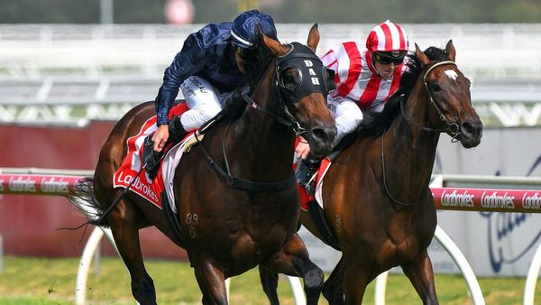 James McDonald to ride Conqueror in NZ