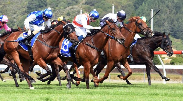 First Group One tilt for Germanicus