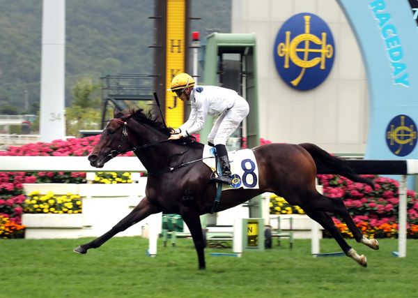 Golden victory signals Hong Kong Classic Mile intent