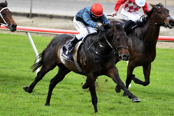 Ideal draws for Ballymore pair