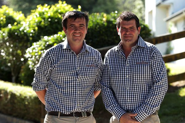 Variety and quality in Wentwood Grange draft