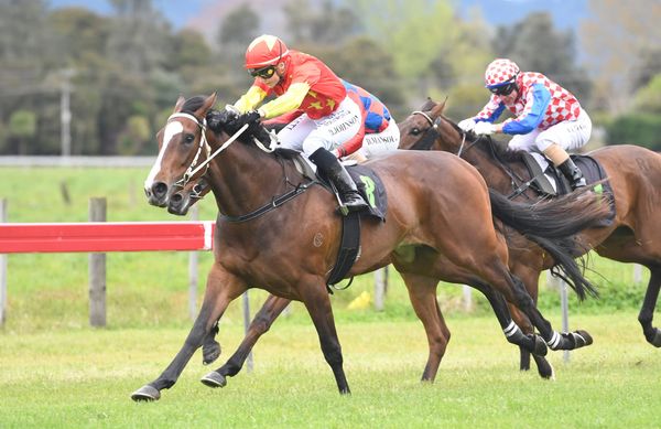 Marsh’s Oaks attack about to come clearer