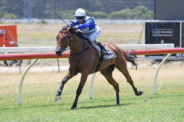 Plenty of Avondale interest for Cooksley