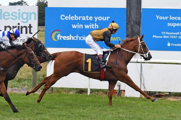 Hill still buzzing after unique success