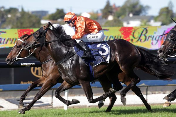 Its Destinys Child bounces back in Ellerslie Group Three