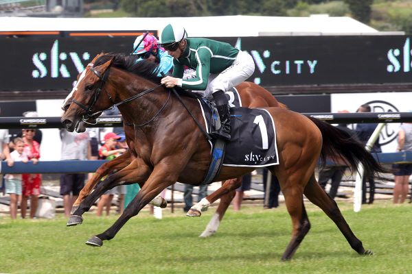 Exceptional Recent Record for NZB Weanling Graduates