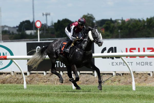 Wellington Cup immediate target for Justamaiz