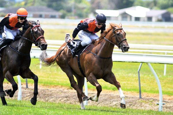 Vile takes patient approach with promising three-year-old