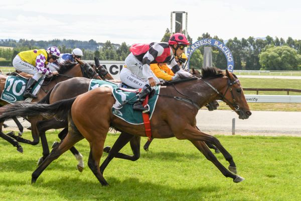 Three-pronged Guineas assault for Tylers