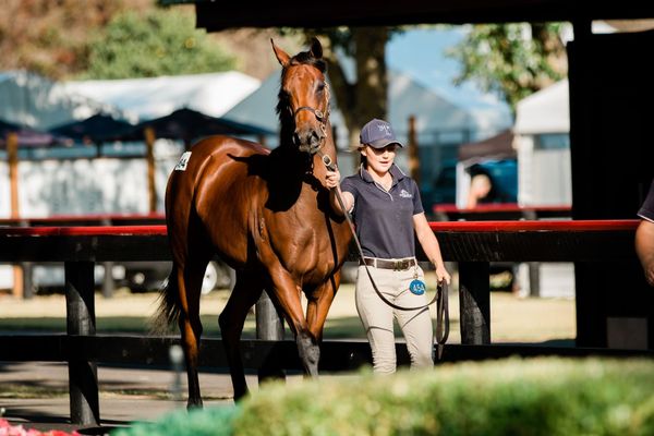 Entries Open for Karaka 2021