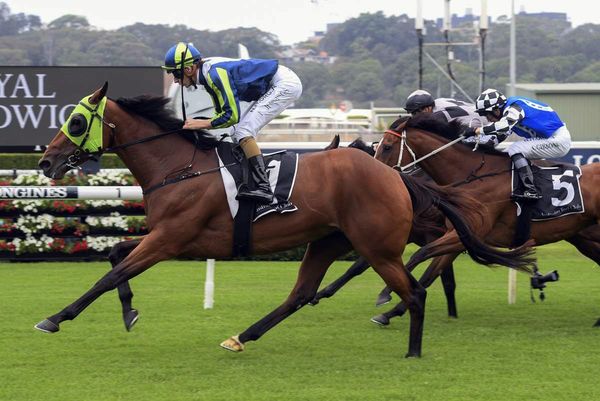 Luvaluva wins again to earn Group One shot
