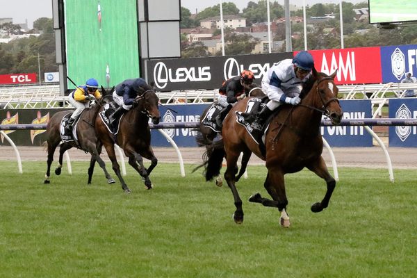 Oaks winner to have Flemington jump-out