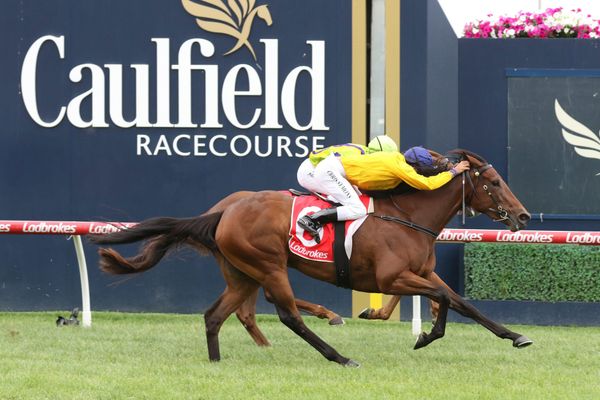 Mrs Beckham scores at Caulfield