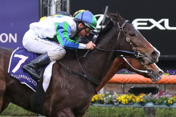 Kensington Stakes return for My Pendant