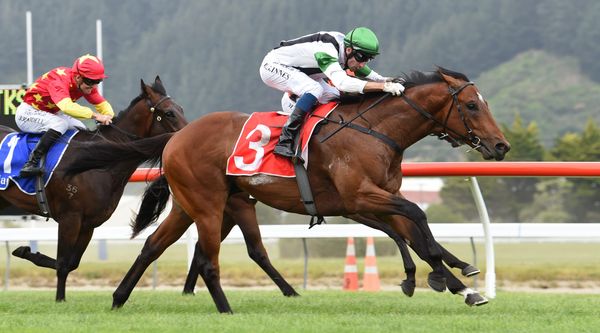 Failure Not An Option for Karaka Million aspirant