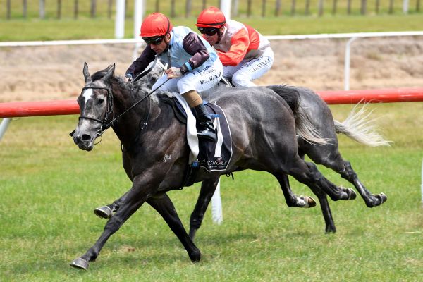 On The Rocks back to winning form