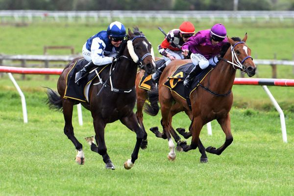 Piaggio poised to seal a Karaka Million start