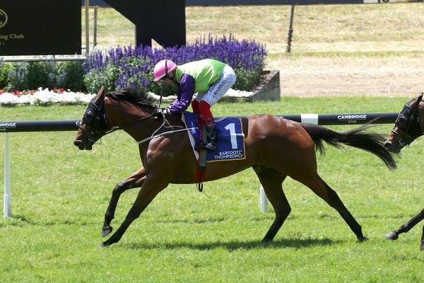 Campbell holds strong Derby hand