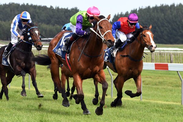 Final hit-out for Campbell trio