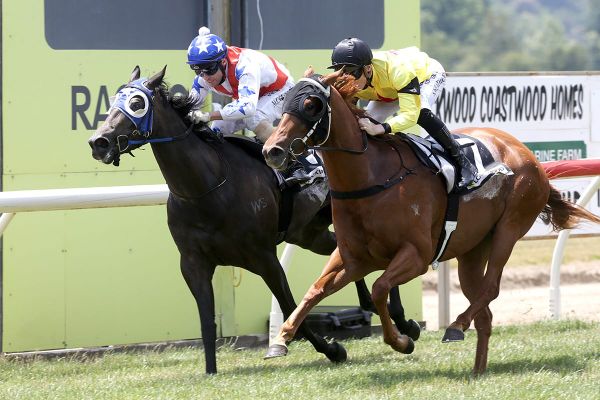 Pinched continues winning run at Te Aroha