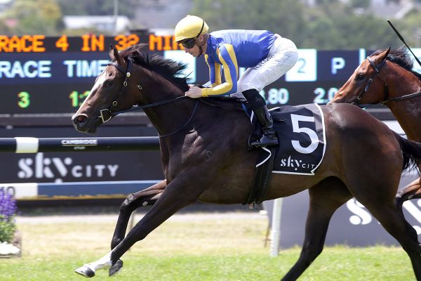 Unbeaten filly on song for Karaka Million