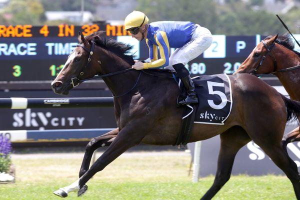 Unbeaten filly plays winning tune at Ellerslie