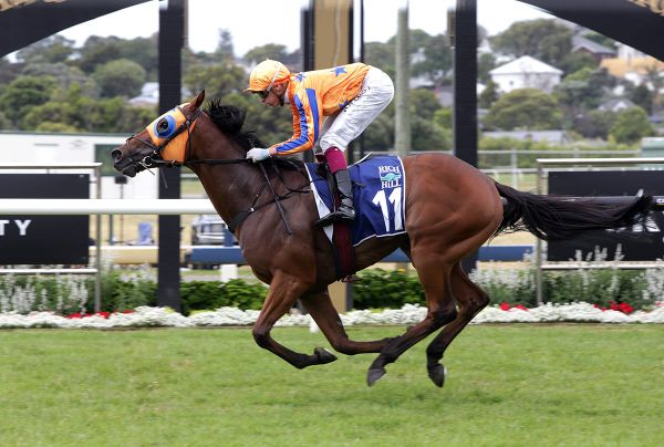 Whirlwind week for Richards