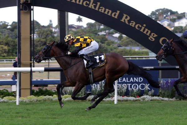 Probabeel makes Karaka Million history