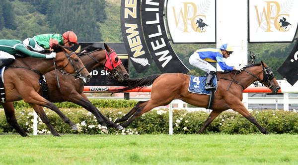 Bosson nails first Trentham feature on Showbeel