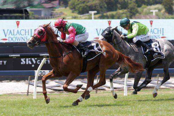 Crowning  glory for Two Illicit