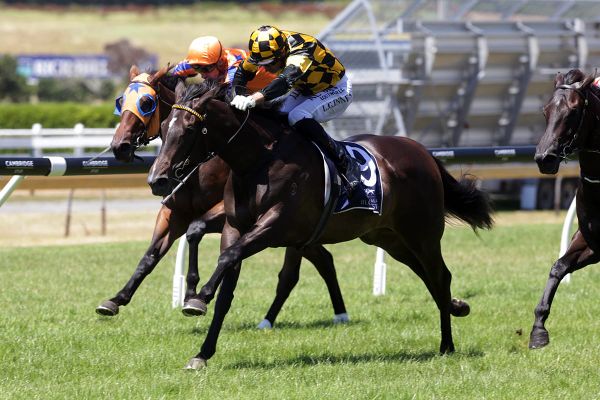 La Vernazza out for spring