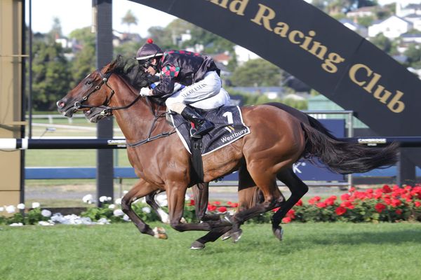 Group One farewell for Volpe Veloce