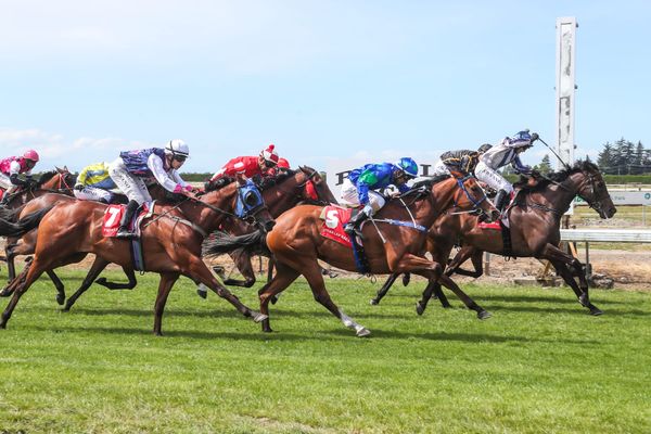 Prendergasts dare to win at Wingatui