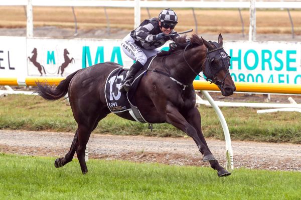 Windsor upsets in Timaru Stakes