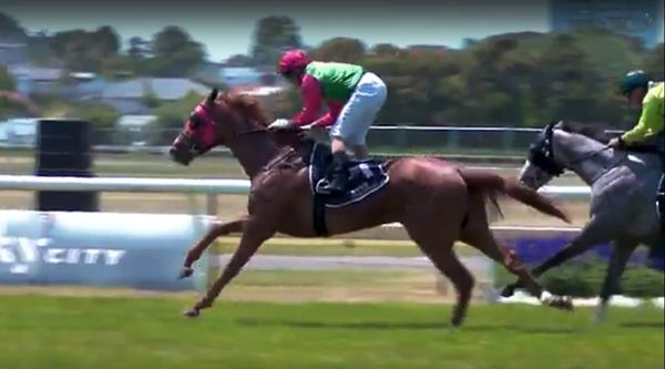 Video: Two Illicit