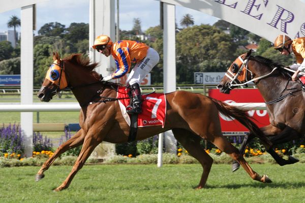 Retired star Gingernuts adds extra crunch to Derby Day