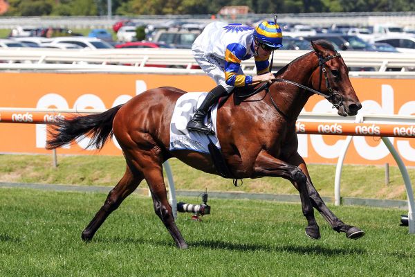 Kiwi-bred Aces Autumn Classic