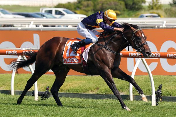 Moroney: Alabama Express a perfect fit for New Zealand