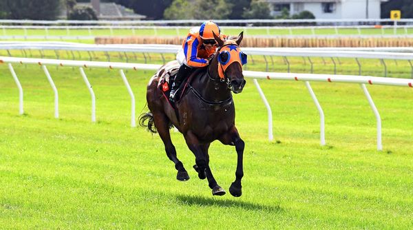 Group One quinella for Te Akau Racing