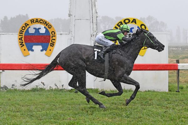 Auckland Cup for Big Mike