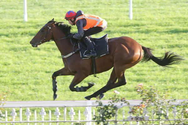 The Bostonian finalises Sydney preparations