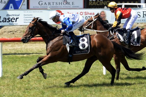 Class gallopers to the fore at Tauranga trials