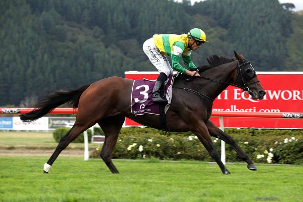 Mare at concert pitch for Avondale Cup