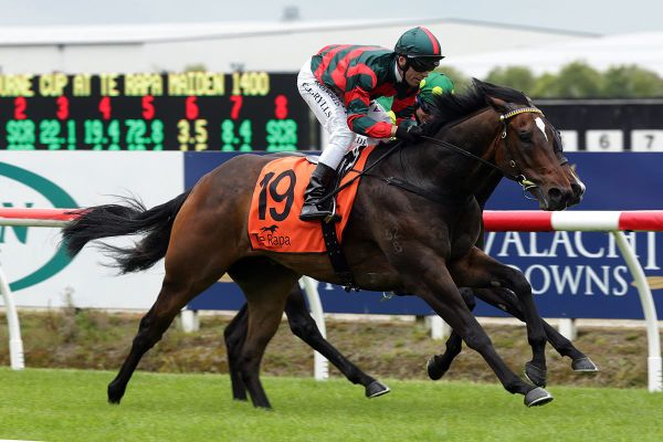 Dragon ready to fire for Guineas