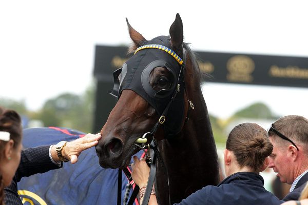 Waddell confirmed for Dragon Leap in Derby