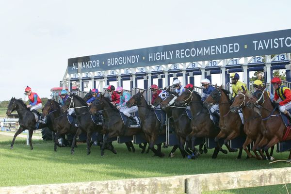 2020/21 Racing calendar issue suspended