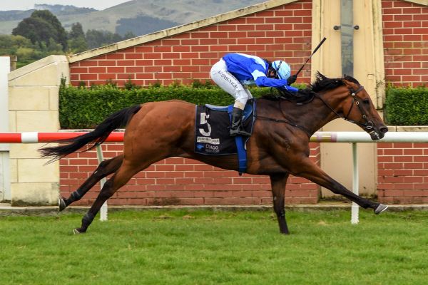 Red letter day for Comignaghi and Parsons team